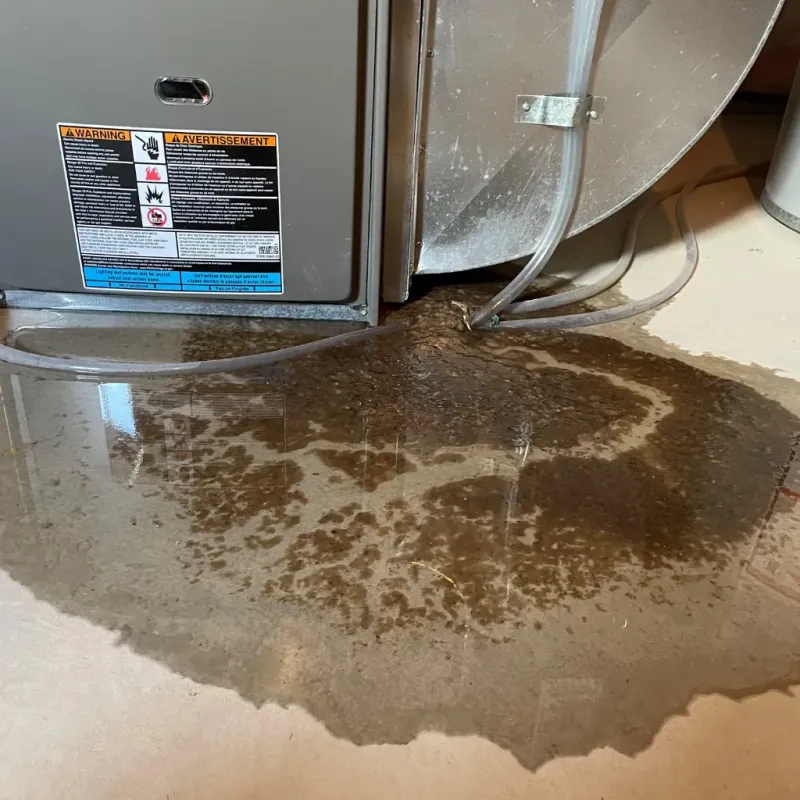 Appliance Leak Cleanup in Rutland County, VT